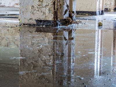 About PrimeDwelling - water damage restoration experts in Boise